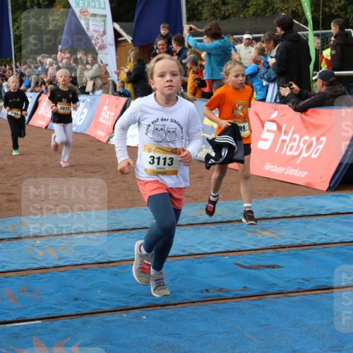 14.09.2025 - Airport Race Strokosch-Dieckow http://msf.ph/oto/8885023 14.09.2025 10:29:22 Ziel 3039, 3064, 3077, 3096, 3113, 3125, 3194, 3213, 3215, 3391, 3404, 3464, 3496, 3555, 3715, 3720, 3729, 3733 meine-sportfotos.de