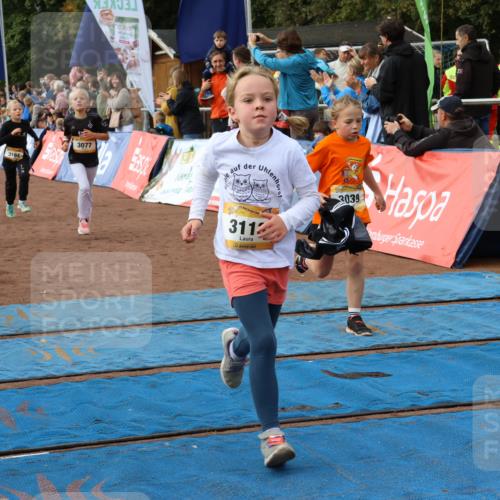 14.09.2025 - Airport Race Strokosch-Dieckow http://msf.ph/oto/8885096 14.09.2025 10:29:22 Ziel 3039, 3064, 3077, 3096, 3113, 3125, 3194, 3213, 3215, 3391, 3404, 3464, 3496, 3555, 3715, 3720, 3729, 3733 meine-sportfotos.de