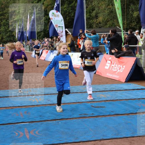 14.09.2025 - Airport Race Strokosch-Dieckow http://msf.ph/oto/8885154 14.09.2025 10:29:25 Ziel 3039, 3077, 3096, 3113, 3125, 3187, 3194, 3213, 3382, 3391, 3404, 3464, 3481, 3486, 3496, 3555, 3715, 3720, 3729, 3751 meine-sportfotos.de