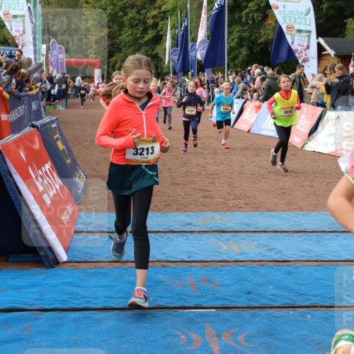 14.09.2025 - Airport Race Strokosch-Dieckow http://msf.ph/oto/8885527 14.09.2025 10:29:29 Ziel 3077, 3096, 3125, 3187, 3194, 3213, 3267, 3270, 3339, 3382, 3391, 3404, 3464, 3481, 3486, 3555, 3715, 3720, 3729, 3751 meine-sportfotos.de