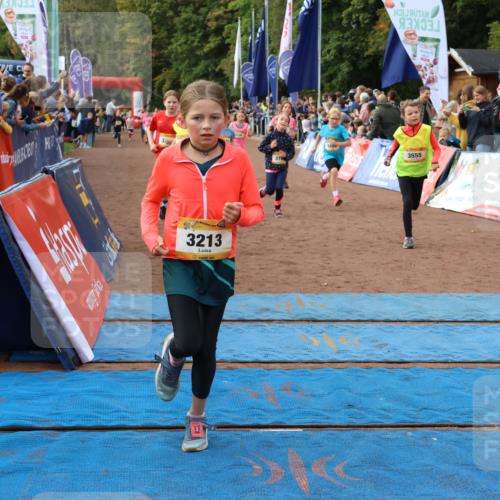 14.09.2025 - Airport Race Strokosch-Dieckow http://msf.ph/oto/8885569 14.09.2025 10:29:29 Ziel 3077, 3096, 3125, 3187, 3194, 3213, 3267, 3270, 3339, 3382, 3391, 3404, 3464, 3481, 3486, 3555, 3715, 3720, 3729, 3751 meine-sportfotos.de