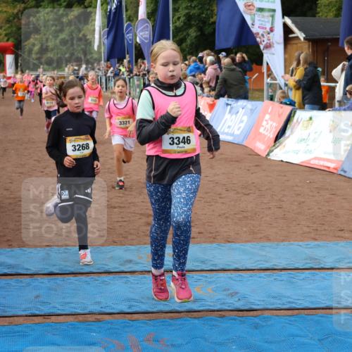 14.09.2025 - Airport Race Strokosch-Dieckow http://msf.ph/oto/8885841 14.09.2025 10:29:41 Ziel 3044, 3105, 3173, 3267, 3268, 3270, 3286, 3317, 3321, 3322, 3346, 3389, 3712 meine-sportfotos.de