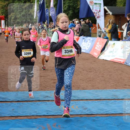 14.09.2025 - Airport Race Strokosch-Dieckow http://msf.ph/oto/8885884 14.09.2025 10:29:41 Ziel 3044, 3105, 3173, 3267, 3268, 3270, 3286, 3317, 3321, 3322, 3346, 3389, 3712 meine-sportfotos.de