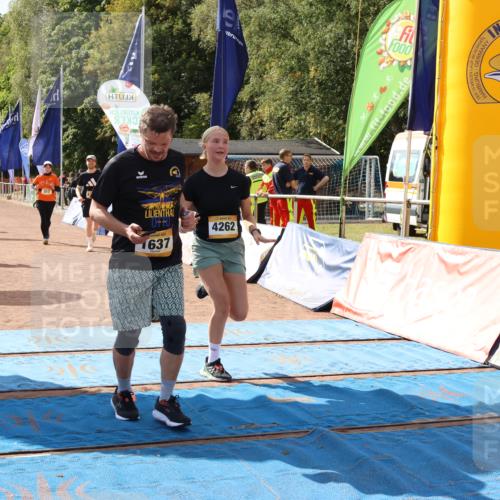 14.09.2025 - Airport Race Strokosch-Dieckow http://msf.ph/oto/8885942 14.09.2025 12:51:56 Ziel 317, 1637, 1981, 2013, 4212, 4262 meine-sportfotos.de