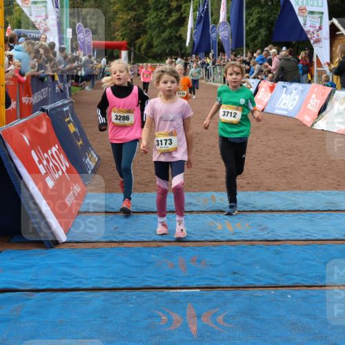 14.09.2025 - Airport Race Strokosch-Dieckow http://msf.ph/oto/8886021 14.09.2025 10:29:47 Ziel 3105, 3120, 3173, 3286, 3311, 3317, 3321, 3322, 3325, 3336, 3389, 3482, 3712 meine-sportfotos.de