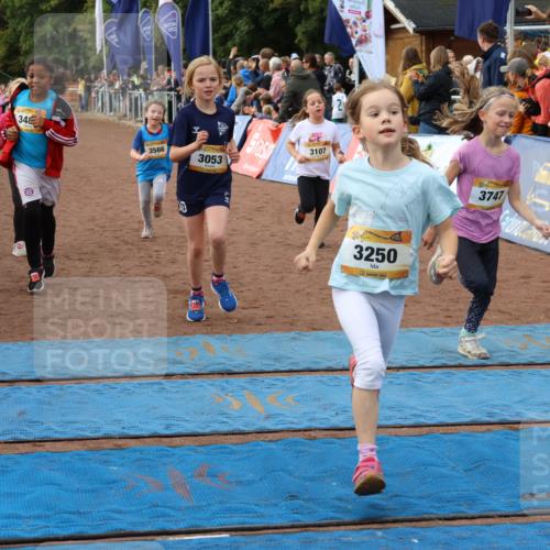 14.09.2025 - Airport Race Strokosch-Dieckow http://msf.ph/oto/8887144 14.09.2025 10:30:09 Ziel 3053, 3086, 3090, 3107, 3124, 3250, 3269, 3320, 3380, 3385, 3390, 3485, 3566, 3747 meine-sportfotos.de