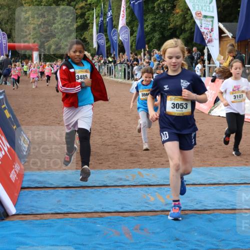 14.09.2025 - Airport Race Strokosch-Dieckow http://msf.ph/oto/8887230 14.09.2025 10:30:11 Ziel 3053, 3086, 3090, 3107, 3250, 3269, 3324, 3349, 3380, 3390, 3485, 3566, 3747 meine-sportfotos.de