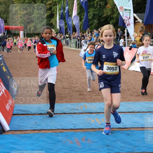 14.09.2025 - Airport Race Strokosch-Dieckow http://msf.ph/oto/8887250 14.09.2025 10:30:11 Ziel 3053, 3086, 3090, 3107, 3250, 3269, 3324, 3349, 3380, 3390, 3485, 3566, 3747 meine-sportfotos.de