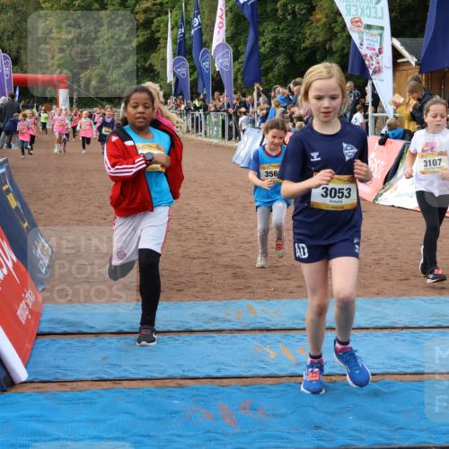 14.09.2025 - Airport Race Strokosch-Dieckow http://msf.ph/oto/8887286 14.09.2025 10:30:11 Ziel 3053, 3086, 3090, 3107, 3250, 3269, 3324, 3349, 3380, 3390, 3485, 3566, 3747 meine-sportfotos.de