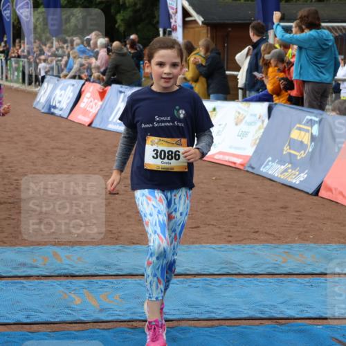 14.09.2025 - Airport Race Strokosch-Dieckow http://msf.ph/oto/8887338 14.09.2025 10:30:15 Ziel 3006, 3053, 3086, 3090, 3107, 3269, 3324, 3342, 3343, 3349, 3354, 3485, 3566 meine-sportfotos.de