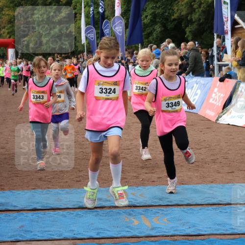 14.09.2025 - Airport Race Strokosch-Dieckow http://msf.ph/oto/8887395 14.09.2025 10:30:19 Ziel 3006, 3086, 3090, 3323, 3324, 3342, 3343, 3349, 3354, 3752 meine-sportfotos.de