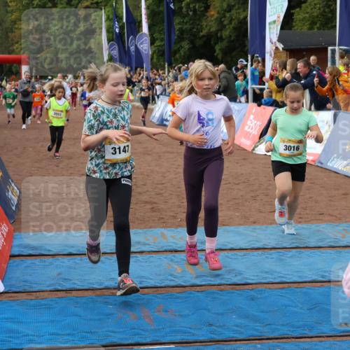 14.09.2025 - Airport Race Strokosch-Dieckow http://msf.ph/oto/8887534 14.09.2025 10:30:32 Ziel 3016, 3031, 3109, 3112, 3147, 3170, 3183, 3224, 3251, 3256, 3257, 3323, 3332, 3334, 3403, 3465, 3467, 3470, 3477, 3553, 3587 meine-sportfotos.de