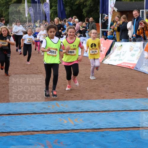 14.09.2025 - Airport Race Strokosch-Dieckow http://msf.ph/oto/8887593 14.09.2025 10:30:35 Ziel 3016, 3031, 3109, 3112, 3140, 3147, 3154, 3170, 3183, 3197, 3224, 3251, 3257, 3332, 3403, 3465, 3467, 3469, 3470, 3477, 3487, 3553, 3587 meine-sportfotos.de