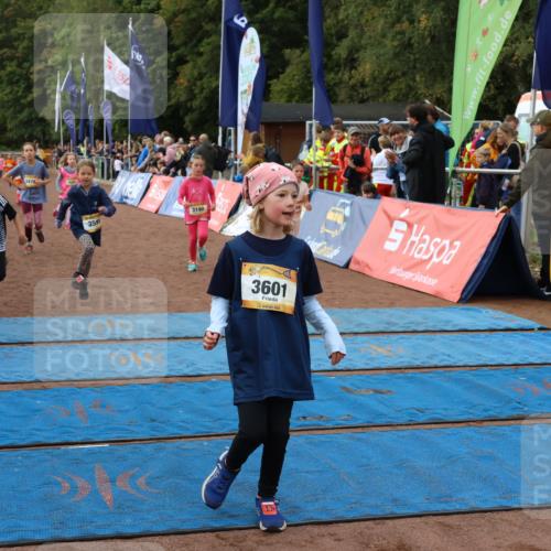 14.09.2025 - Airport Race Strokosch-Dieckow http://msf.ph/oto/8887715 14.09.2025 10:30:47 Ziel 3131, 3179, 3190, 3338, 3469, 3476, 3487, 3495, 3591, 3601, 3748 meine-sportfotos.de