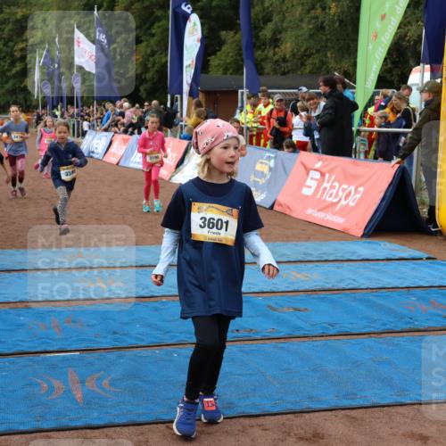 14.09.2025 - Airport Race Strokosch-Dieckow http://msf.ph/oto/8887727 14.09.2025 10:30:47 Ziel 3131, 3179, 3190, 3338, 3469, 3476, 3487, 3495, 3591, 3601, 3748 meine-sportfotos.de