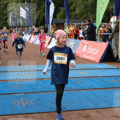 14.09.2025 - Airport Race Strokosch-Dieckow http://msf.ph/oto/8887741 14.09.2025 10:30:47 Ziel 3131, 3179, 3190, 3338, 3469, 3476, 3487, 3495, 3591, 3601, 3748 meine-sportfotos.de