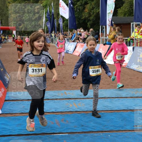 14.09.2025 - Airport Race Strokosch-Dieckow http://msf.ph/oto/8887753 14.09.2025 10:30:48 Ziel 3131, 3179, 3190, 3338, 3476, 3495, 3591, 3601, 3748 meine-sportfotos.de