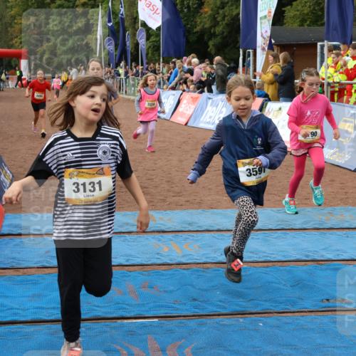 14.09.2025 - Airport Race Strokosch-Dieckow http://msf.ph/oto/8887795 14.09.2025 10:30:48 Ziel 3131, 3179, 3190, 3338, 3476, 3495, 3591, 3601, 3748 meine-sportfotos.de