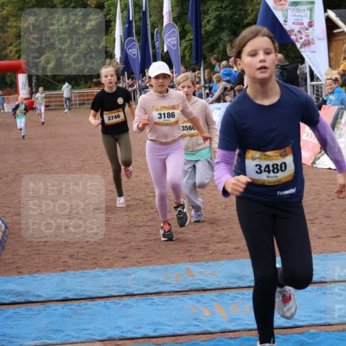 14.09.2025 - Airport Race Strokosch-Dieckow http://msf.ph/oto/8888131 14.09.2025 10:31:23 Ziel 3186, 3480, 3560, 3746 meine-sportfotos.de