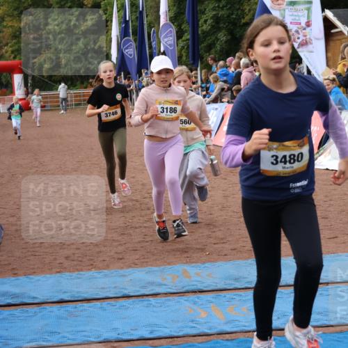 14.09.2025 - Airport Race Strokosch-Dieckow http://msf.ph/oto/8888143 14.09.2025 10:31:23 Ziel 3186, 3480, 3560, 3746 meine-sportfotos.de