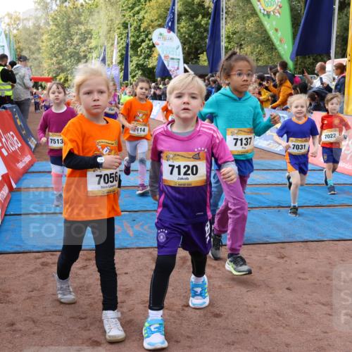14.09.2025 - Airport Race Strokosch-Dieckow http://msf.ph/oto/8890292 14.09.2025 11:20:49 Ziel  meine-sportfotos.de