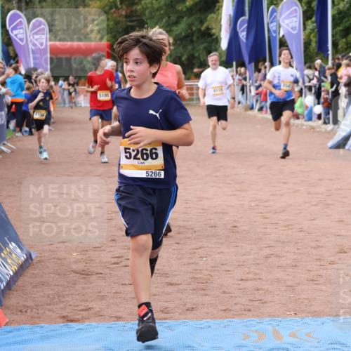 14.09.2025 - Airport Race Strokosch-Dieckow http://msf.ph/oto/8893561 14.09.2025 12:06:10 Ziel 276, 4118, 4142, 4191, 4398, 5083, 5195, 5266, 5539, 5542 meine-sportfotos.de