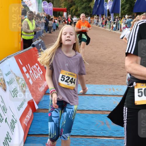 14.09.2025 - Airport Race Strokosch-Dieckow http://msf.ph/oto/8894815 14.09.2025 12:12:25 Ziel 848, 1662, 1853, 2075, 5013, 5111, 5157, 5193, 5244, 5286, 5399, 5468 meine-sportfotos.de