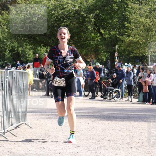 14.09.2025 - Stadtparktriathlon Strokosch-Dieckow http://msf.ph/oto/8897168 14.09.2025 13:31:07 Ziel 1239 meine-sportfotos.de