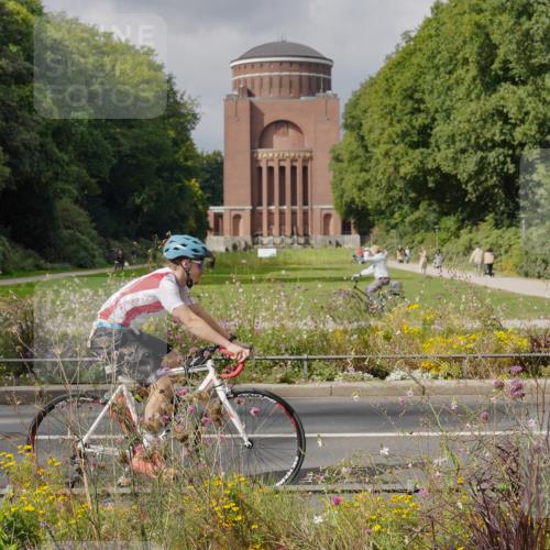 14.09.2025 - Stadtparktriathlon Michael Burmester http://msf.ph/oto/8897302 14.09.2025 12:34:48 Radfahren 1126, 1250, 1280, 1314, 1353, 1383, 1390 meine-sportfotos.de