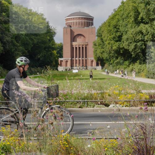 14.09.2025 - Stadtparktriathlon Michael Burmester http://msf.ph/oto/8897321 14.09.2025 12:35:23 Radfahren 1223, 1267, 1275, 1411 meine-sportfotos.de