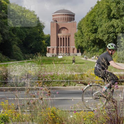 14.09.2025 - Stadtparktriathlon Michael Burmester http://msf.ph/oto/8897323 14.09.2025 12:35:23 Radfahren 1223, 1267, 1275, 1411 meine-sportfotos.de