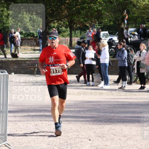14.09.2025 - Stadtparktriathlon Strokosch-Dieckow http://msf.ph/oto/8897809 14.09.2025 13:41:26 Ziel 1175, 1241, 1295 meine-sportfotos.de