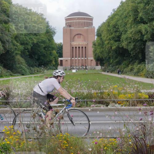 14.09.2025 - Stadtparktriathlon Michael Burmester http://msf.ph/oto/8898802 14.09.2025 12:47:54 Radfahren 1224, 1239, 1245, 1247, 1248, 1263, 1274, 1278, 1310, 1316, 1330, 1387, 1394 meine-sportfotos.de