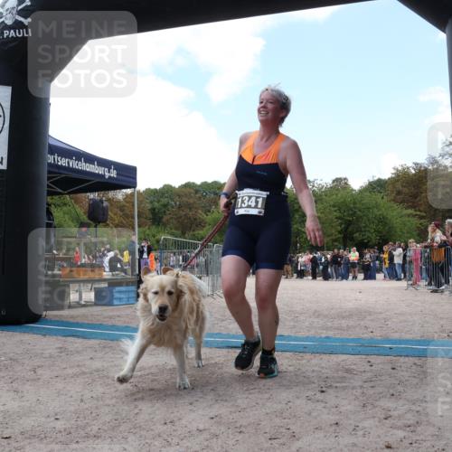 14.09.2025 - Stadtparktriathlon Strokosch-Dieckow http://msf.ph/oto/8898956 14.09.2025 14:07:39 Ziel 1341, 1452, 1479 meine-sportfotos.de