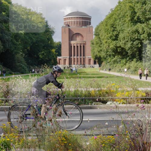 14.09.2025 - Stadtparktriathlon Michael Burmester http://msf.ph/oto/8899568 14.09.2025 12:57:47 Radfahren 1100, 1336, 1365, 1371, 1426 meine-sportfotos.de