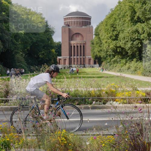 14.09.2025 - Stadtparktriathlon Michael Burmester http://msf.ph/oto/8899609 14.09.2025 12:58:28 Radfahren 1237, 1272, 1388, 1472, 1494, 1513 meine-sportfotos.de