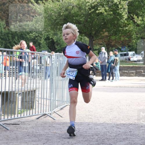 14.09.2025 - Stadtparktriathlon Strokosch-Dieckow http://msf.ph/oto/8899911 14.09.2025 14:18:20 Ziel 1559, 1625, 1665, 1683 meine-sportfotos.de