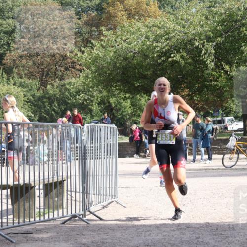 14.09.2025 - Stadtparktriathlon Strokosch-Dieckow http://msf.ph/oto/8900102 14.09.2025 14:23:13 Ziel 1450, 1530, 1531 meine-sportfotos.de