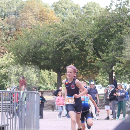 14.09.2025 - Stadtparktriathlon Strokosch-Dieckow http://msf.ph/oto/8900405 14.09.2025 14:37:54 Ziel 1693, 1731, 1774, 1788 meine-sportfotos.de