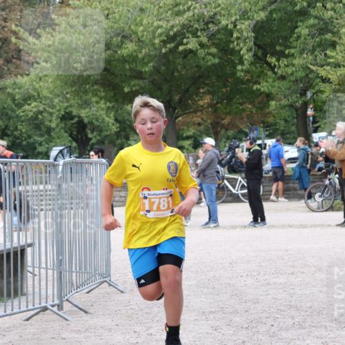 14.09.2025 - Stadtparktriathlon Strokosch-Dieckow http://msf.ph/oto/8900743 14.09.2025 14:40:35 Ziel 1694, 1696, 1781 meine-sportfotos.de