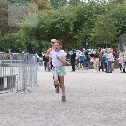 14.09.2025 - Stadtparktriathlon Strokosch-Dieckow http://msf.ph/oto/8900844 14.09.2025 14:41:10 Ziel 1727, 1740, 1804, 1865 meine-sportfotos.de