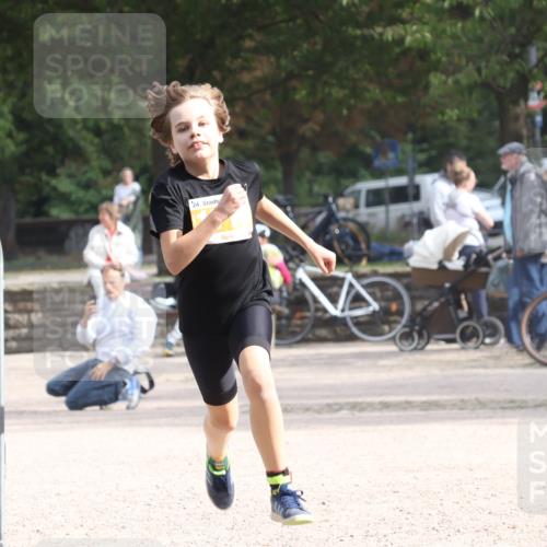 14.09.2025 - Stadtparktriathlon Strokosch-Dieckow http://msf.ph/oto/8900937 14.09.2025 14:42:49 Ziel 1715, 1750, 1779 meine-sportfotos.de