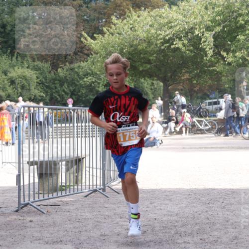 14.09.2025 - Stadtparktriathlon Strokosch-Dieckow http://msf.ph/oto/8900963 14.09.2025 14:42:54 Ziel 1715, 1750, 1779 meine-sportfotos.de