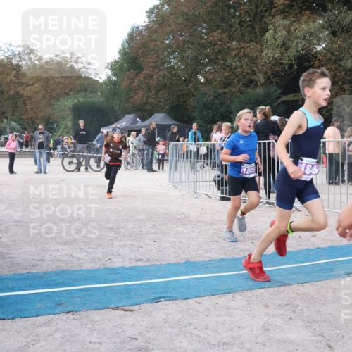 14.09.2025 - Stadtparktriathlon Strokosch-Dieckow http://msf.ph/oto/8901578 14.09.2025 15:04:37 Ziel 1805, 1806, 1809, 1831, 1848, 1857 meine-sportfotos.de