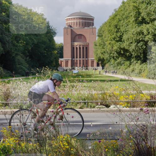14.09.2025 - Stadtparktriathlon Michael Burmester http://msf.ph/oto/8902465 14.09.2025 13:32:05 Radfahren 1488, 1491, 1523, 1535, 1593, 1606 meine-sportfotos.de