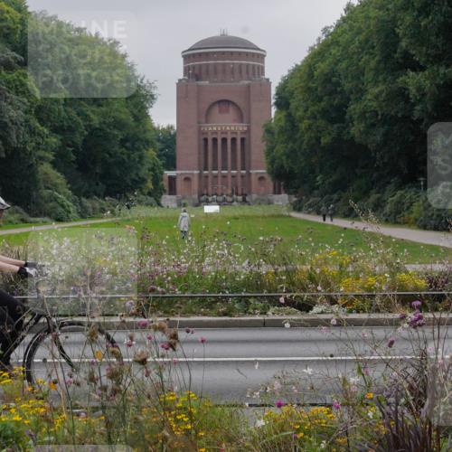14.09.2025 - Stadtparktriathlon Michael Burmester http://msf.ph/oto/8903026 14.09.2025 10:06:15 Radfahren 519, 590, 600, 601, 602 meine-sportfotos.de