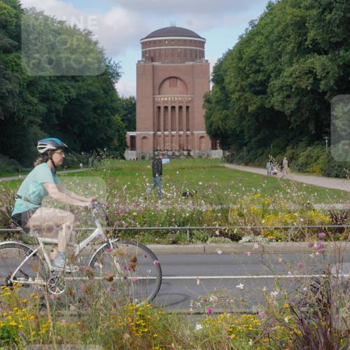 14.09.2025 - Stadtparktriathlon Michael Burmester http://msf.ph/oto/8903869 14.09.2025 10:52:26 Radfahren 633, 655, 663, 677, 748, 800, 805 meine-sportfotos.de