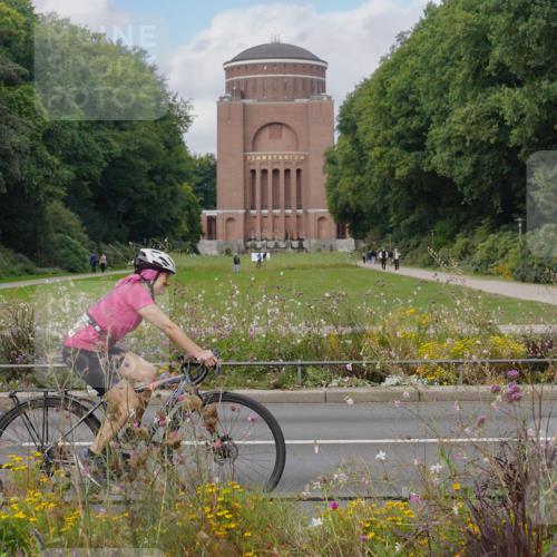 14.09.2025 - Stadtparktriathlon Michael Burmester http://msf.ph/oto/8904433 14.09.2025 11:23:11 Radfahren 886, 920, 946 meine-sportfotos.de