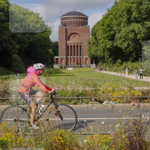 14.09.2025 - Stadtparktriathlon Michael Burmester http://msf.ph/oto/8904577 14.09.2025 11:32:21 Radfahren 894, 968, 974, 997, 1017 meine-sportfotos.de