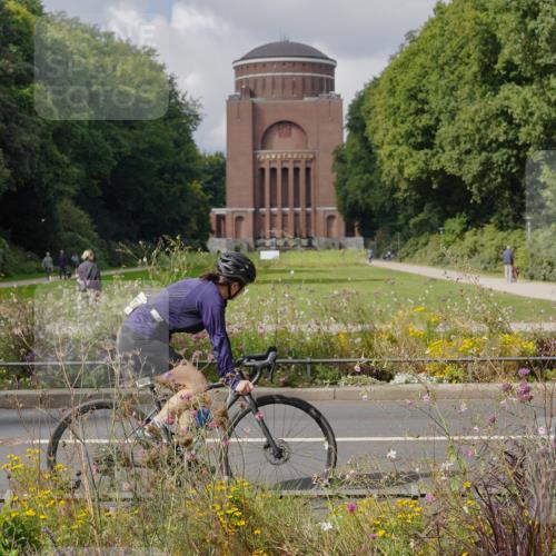 14.09.2025 - Stadtparktriathlon Michael Burmester http://msf.ph/oto/8905388 14.09.2025 12:18:28 Radfahren 1085, 1139, 1144, 1170, 1178, 1218, 1245, 1247, 1260, 1297 meine-sportfotos.de